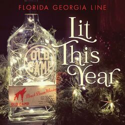 Cover of Lit This Year