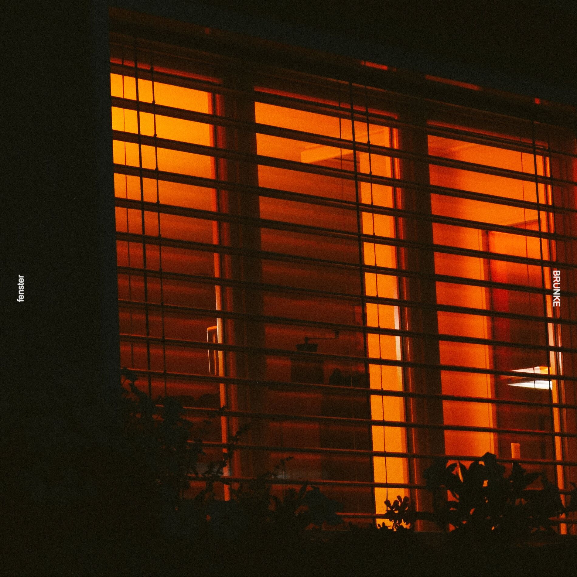 Album cover of Fenster