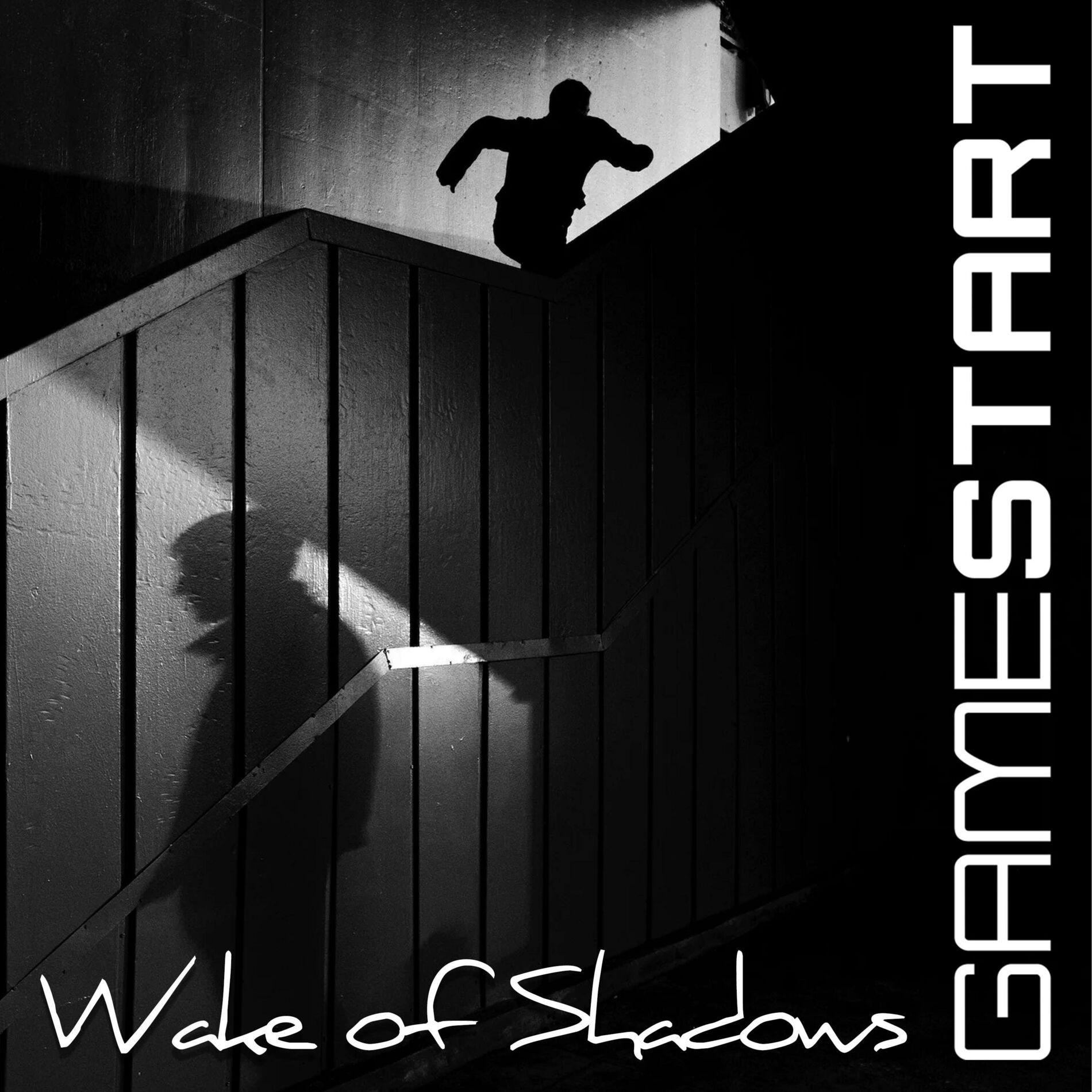 Album cover of Wake of the Shadows