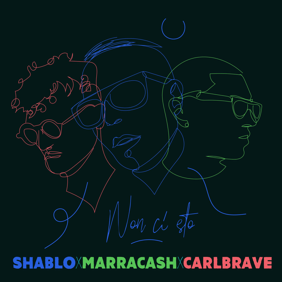 Album cover of Non Ci Sto