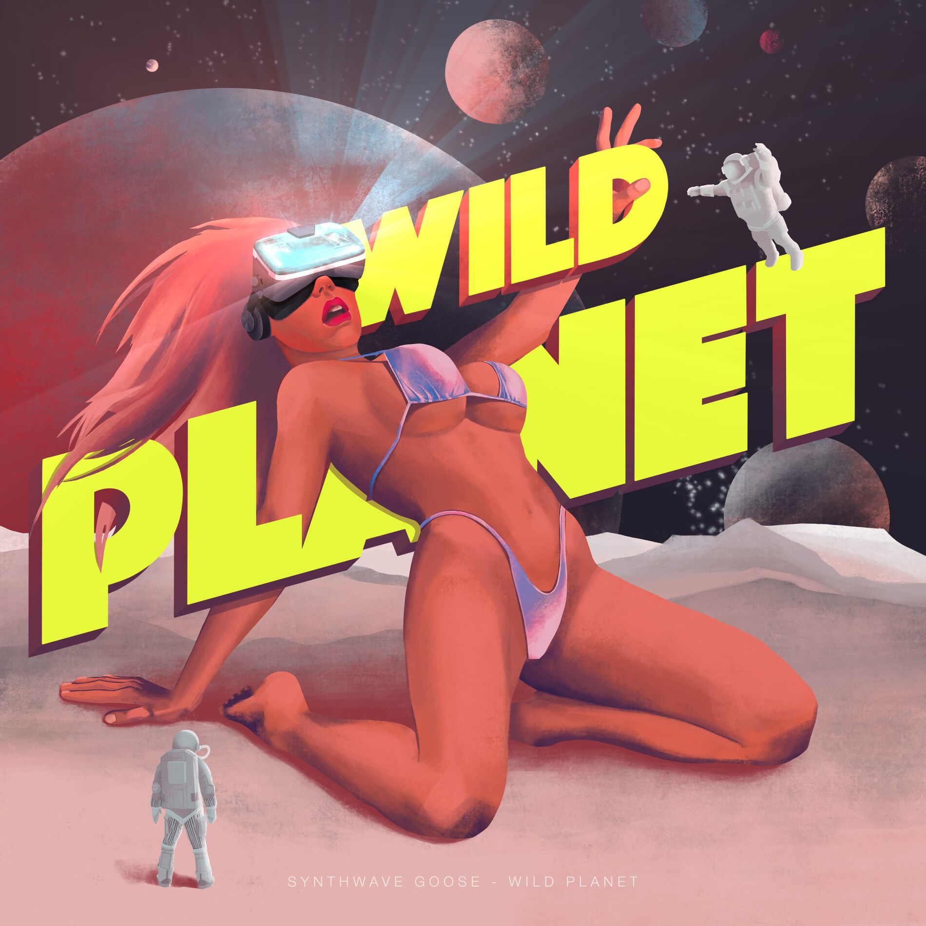 Album cover of Revenge