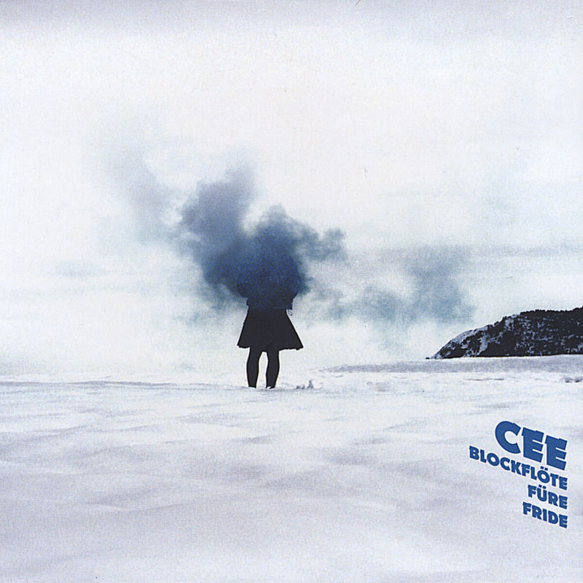 Album cover of Blockfloete fuere Fride