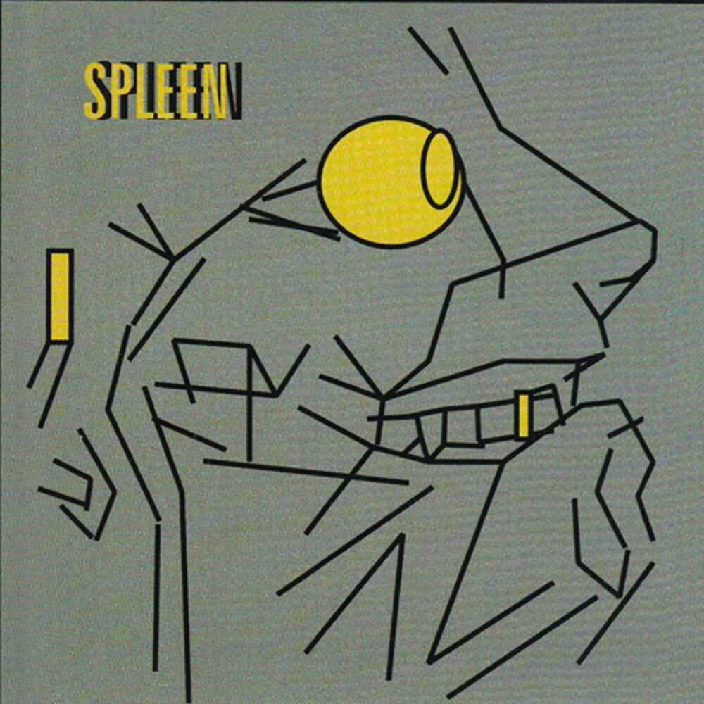Picture of Spleen