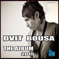 Cover of Dvit Bousa - The Album 2015