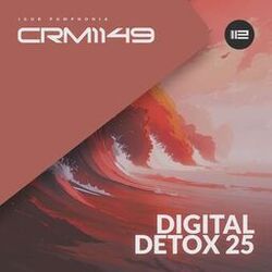 Cover of Digital Detox 25