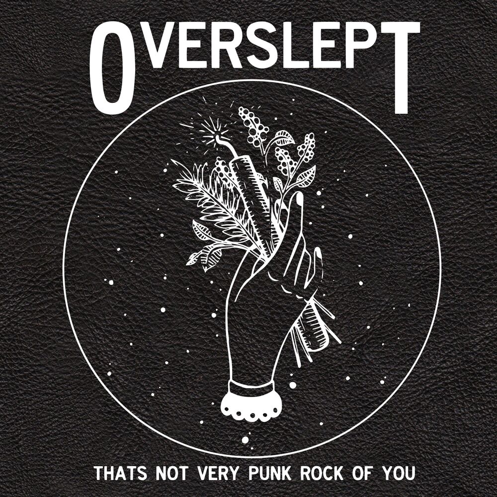 Picture of That's Not Very Punk Rock of You