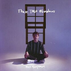 Cover of These Two Windows