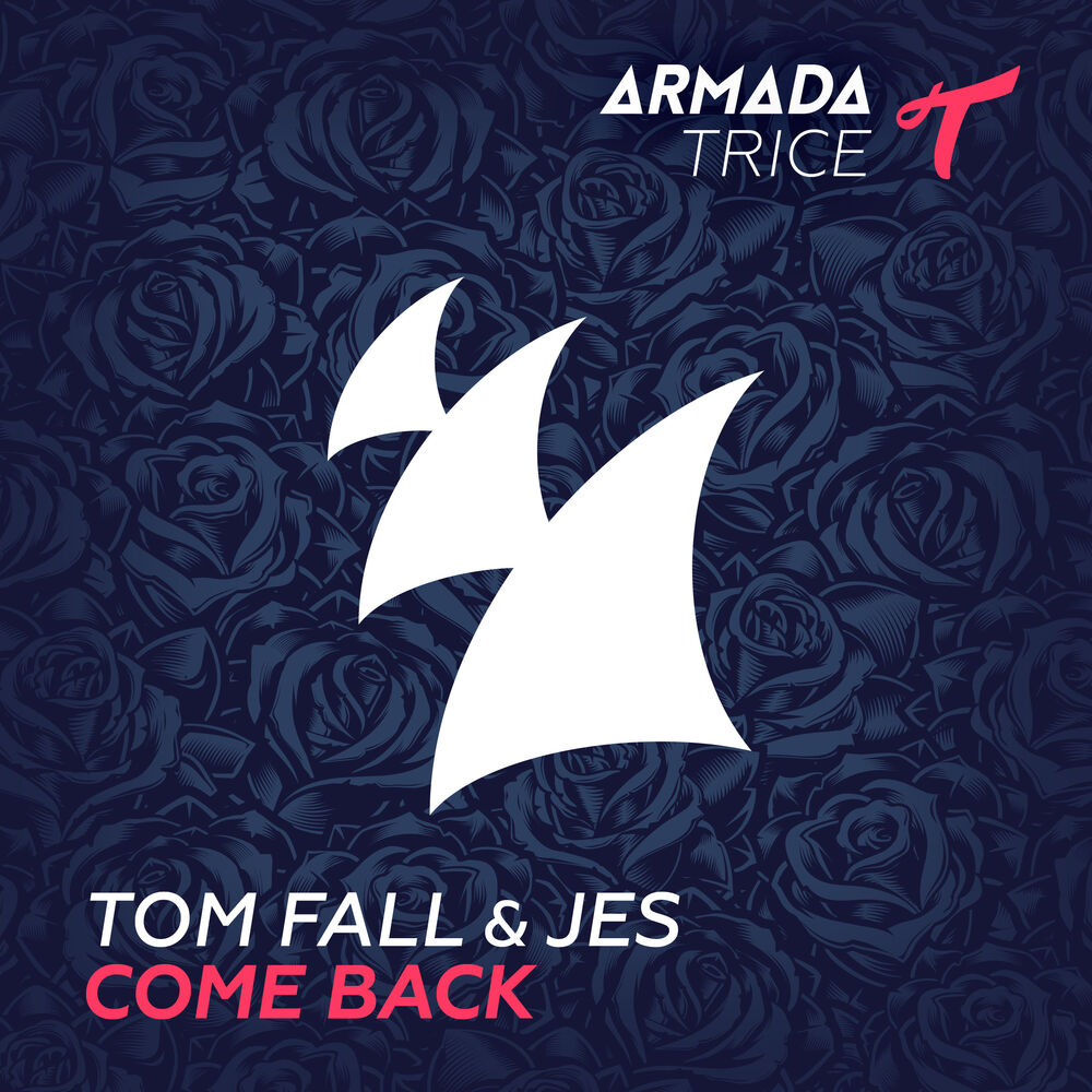 Picture of Come Back