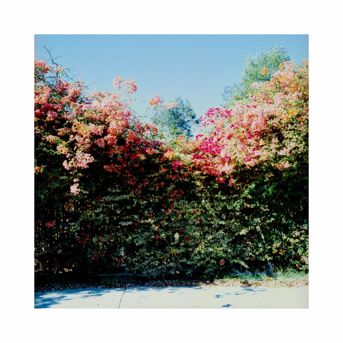 Album cover of what i remember of san francisco
