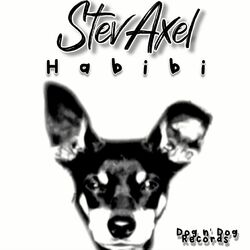 Cover of Habibi