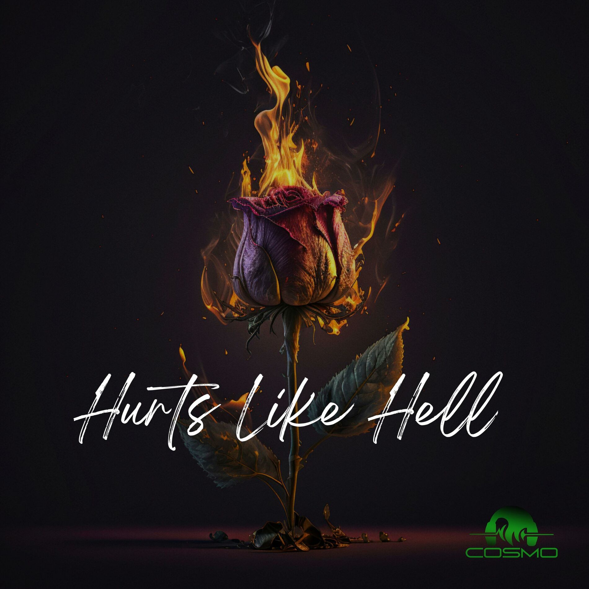 Album cover of Hurts Like Hell