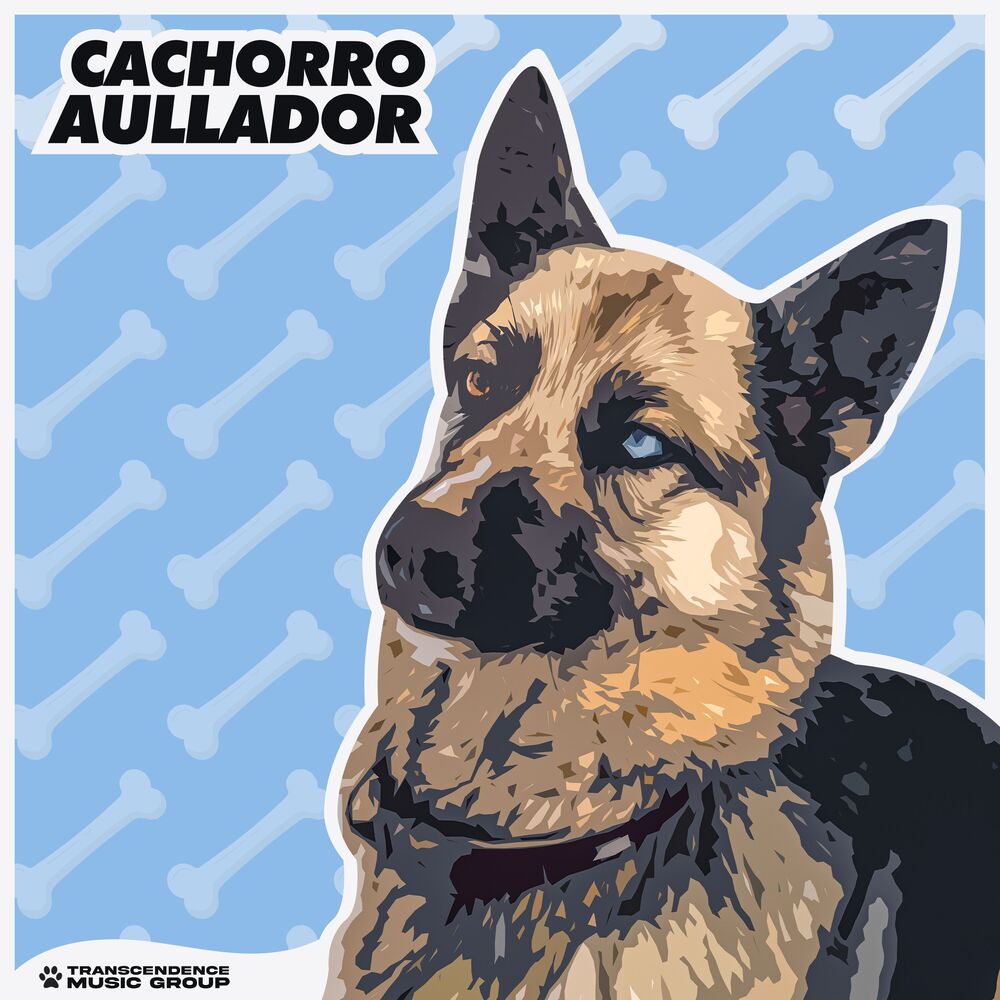 Picture of Cachorro Aullador