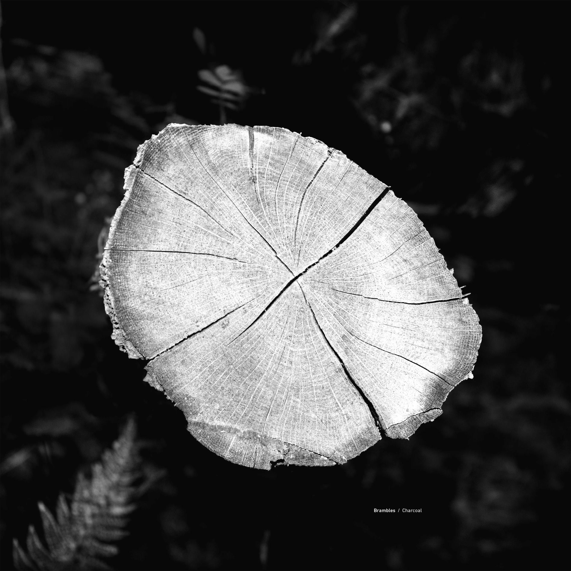 Album cover of Charcoal: Expanded Edition