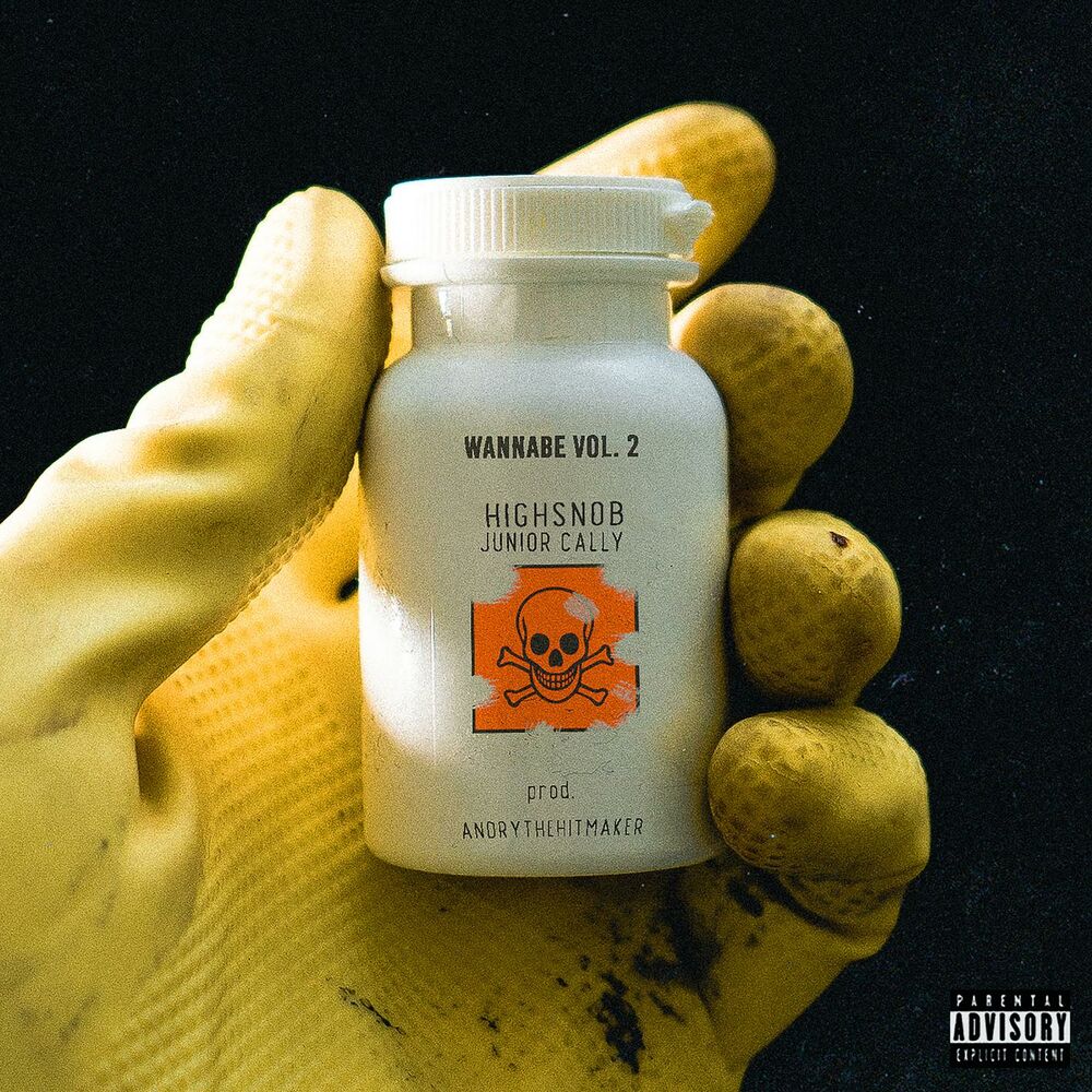 Picture of WANNABE VOL.2