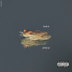 Descargar Fuck It - Nathan MP3