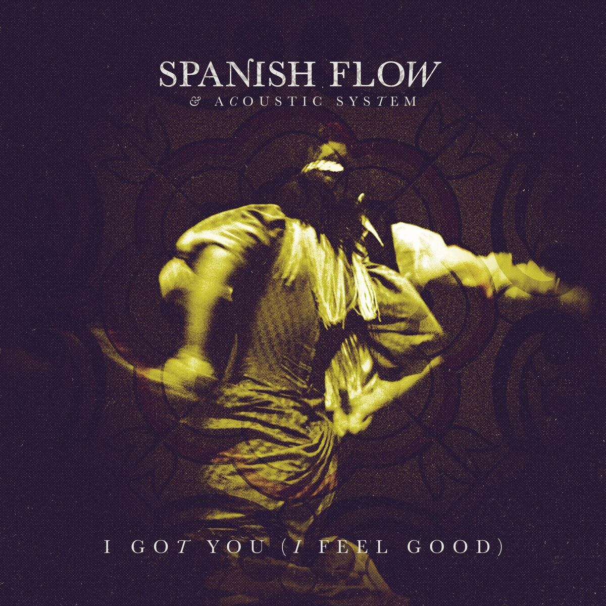 Album cover of I Got You (I Feel Good)
