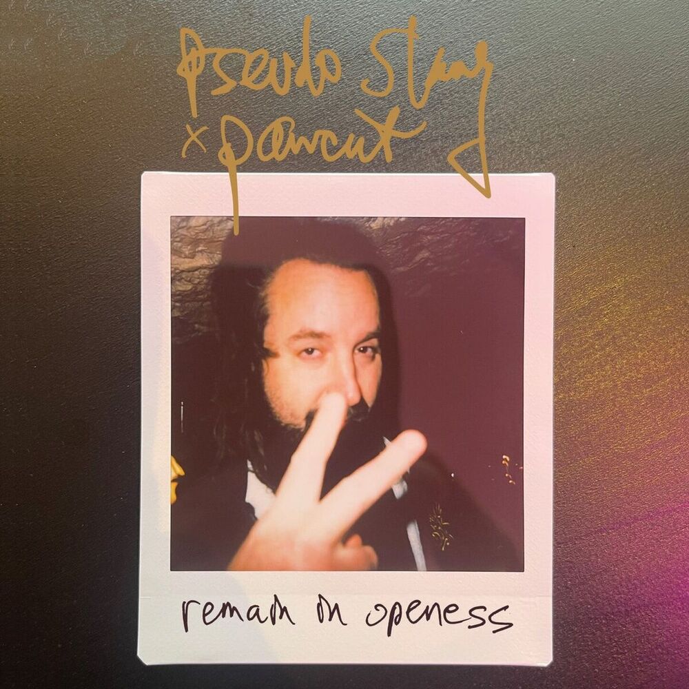 Picture of remain in openess