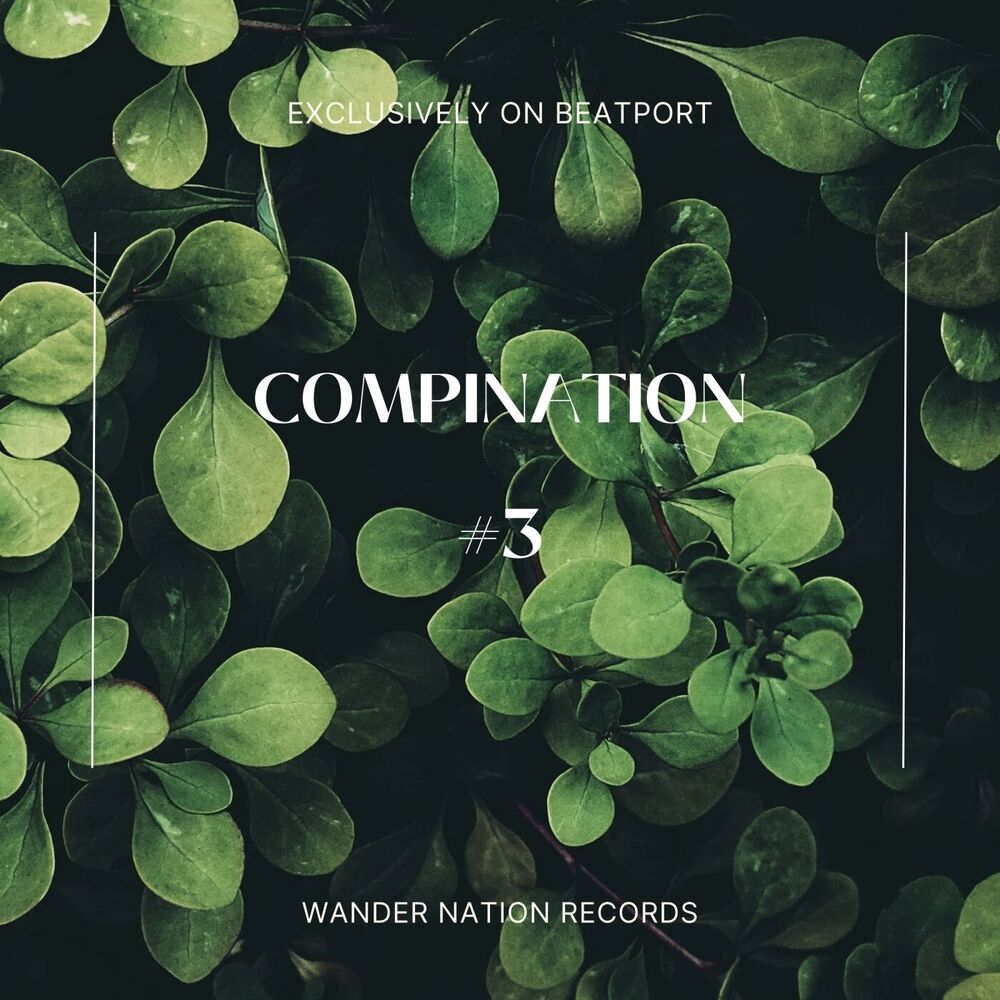 Picture of Compination #3