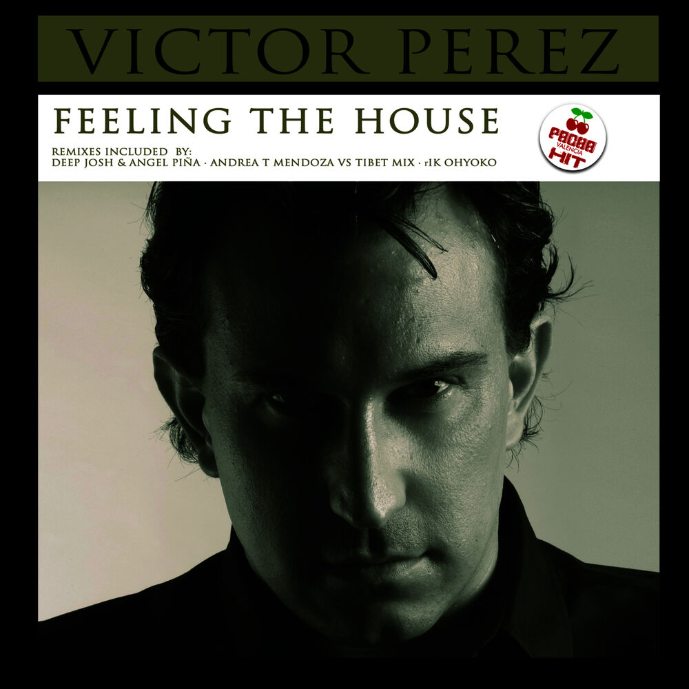 Picture of Feeling The House