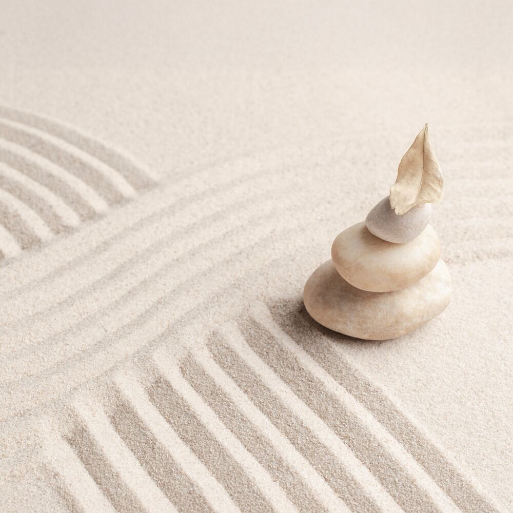 Picture of Zen Alignment (Harmonizing Body, Mind, and Spirit)