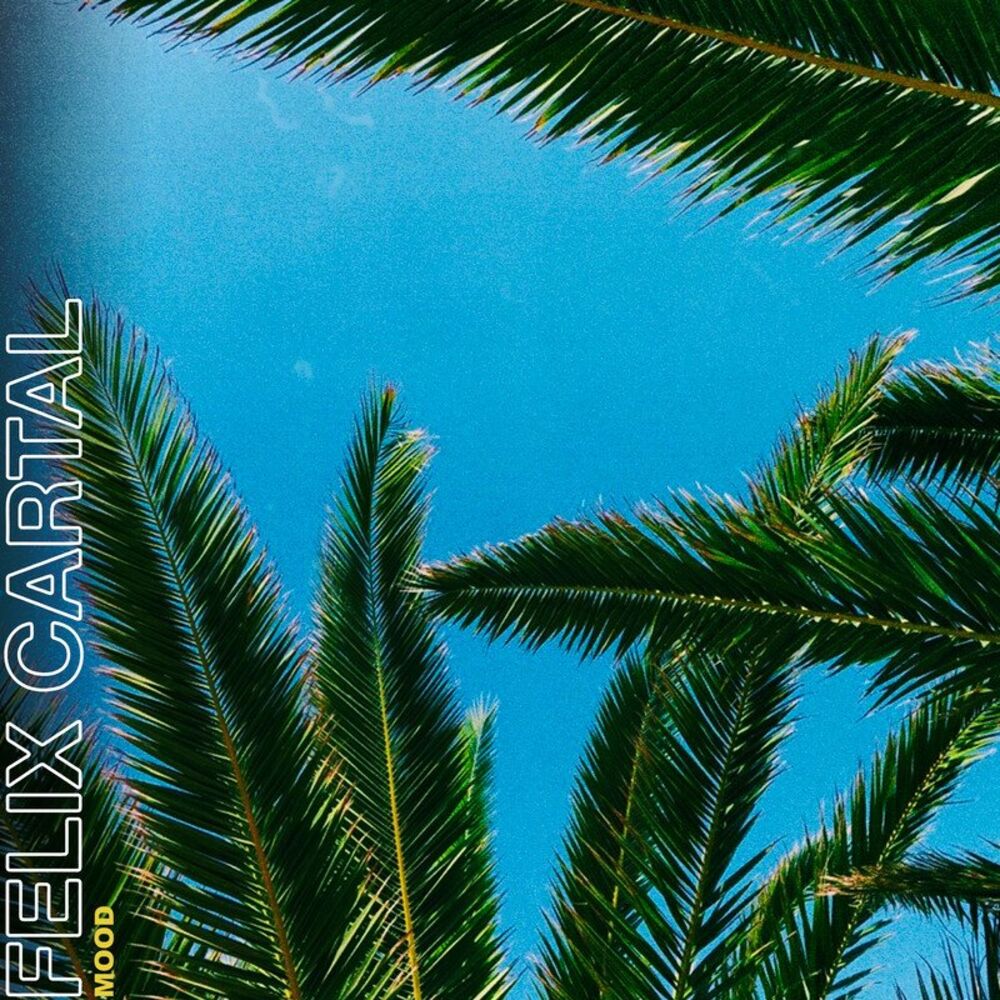 Picture of Mood (Remixes)