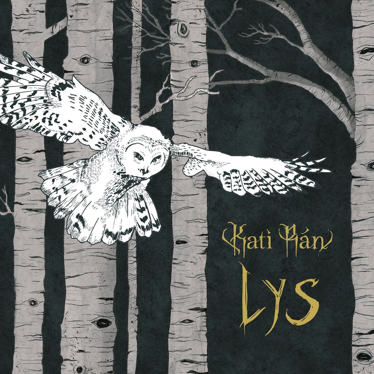 Album cover of LYS