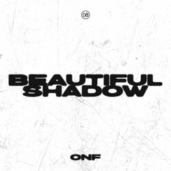Cover of Beautiful Shadow