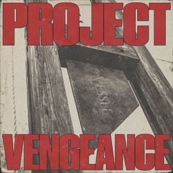 Cover of Vessel