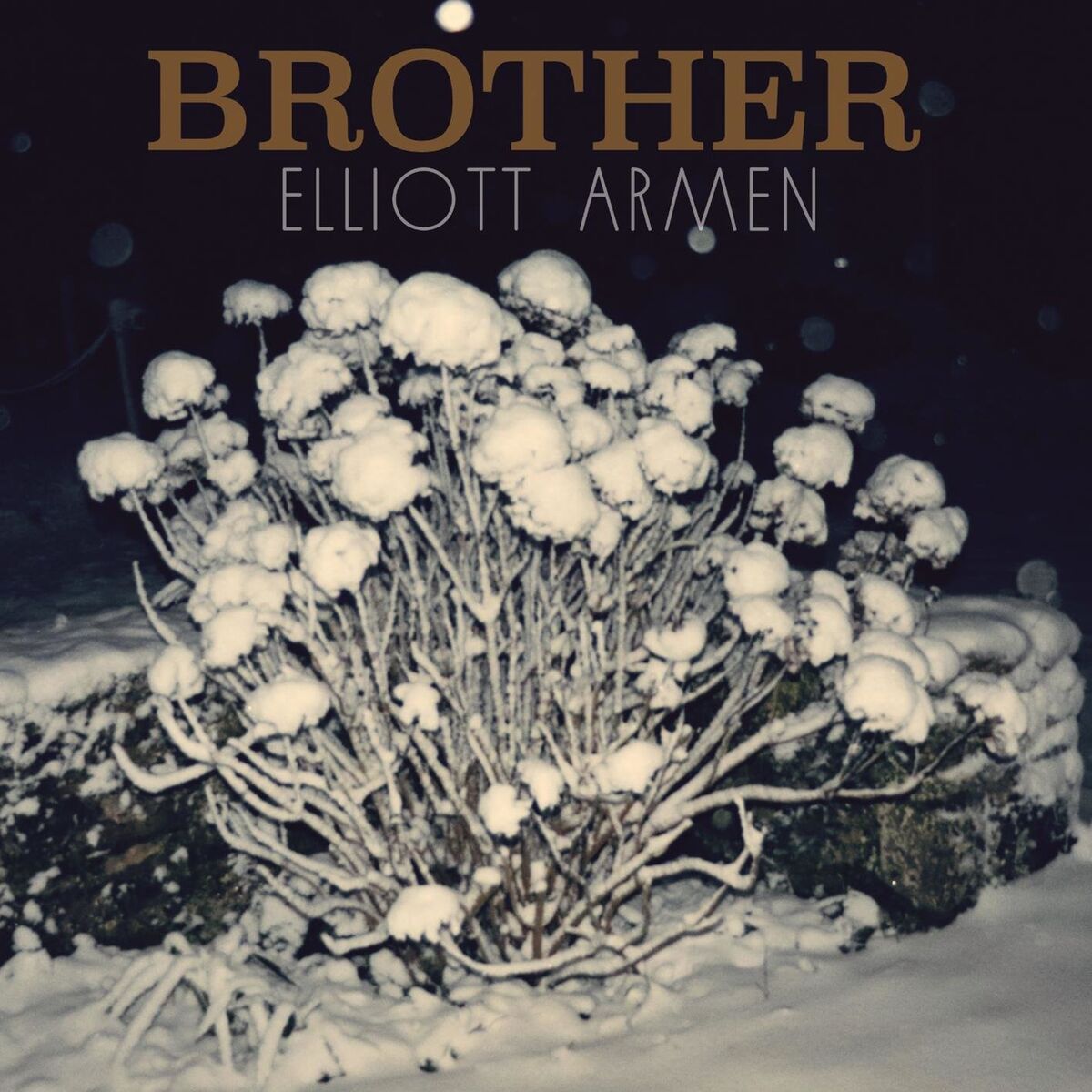 Album cover of Brother