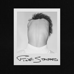 Cover of FINE (Stripped)
