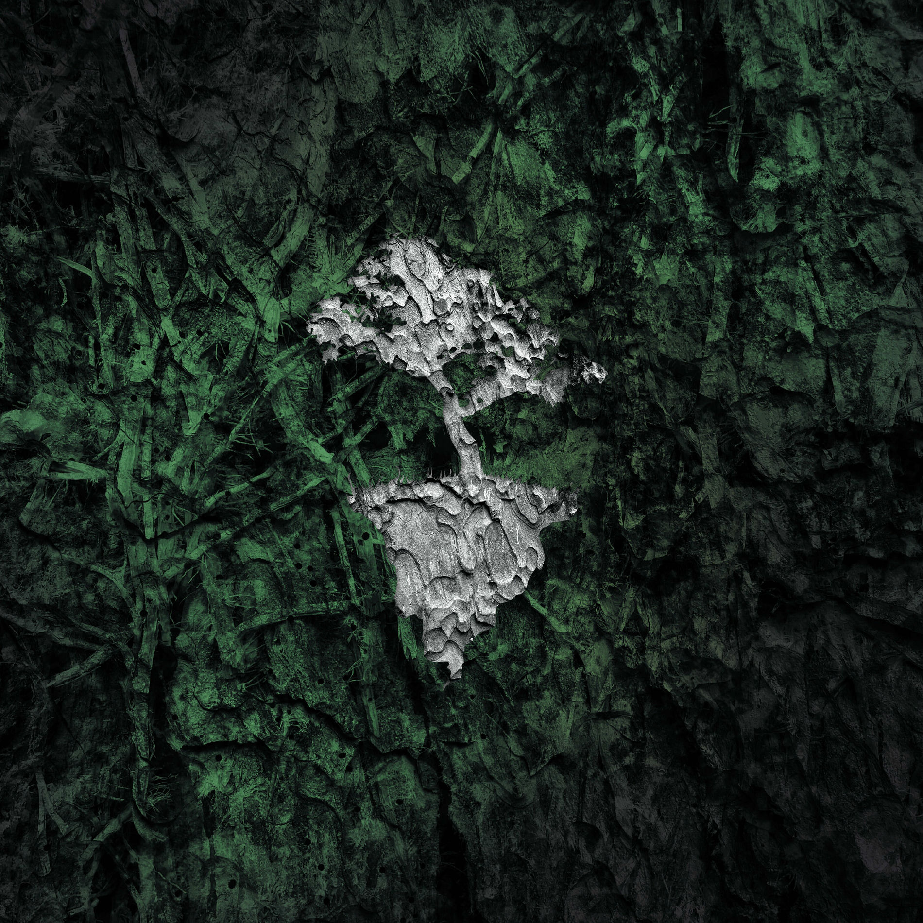 Album cover of Nebari, Vol. 1