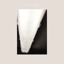 Cover of Floodlit