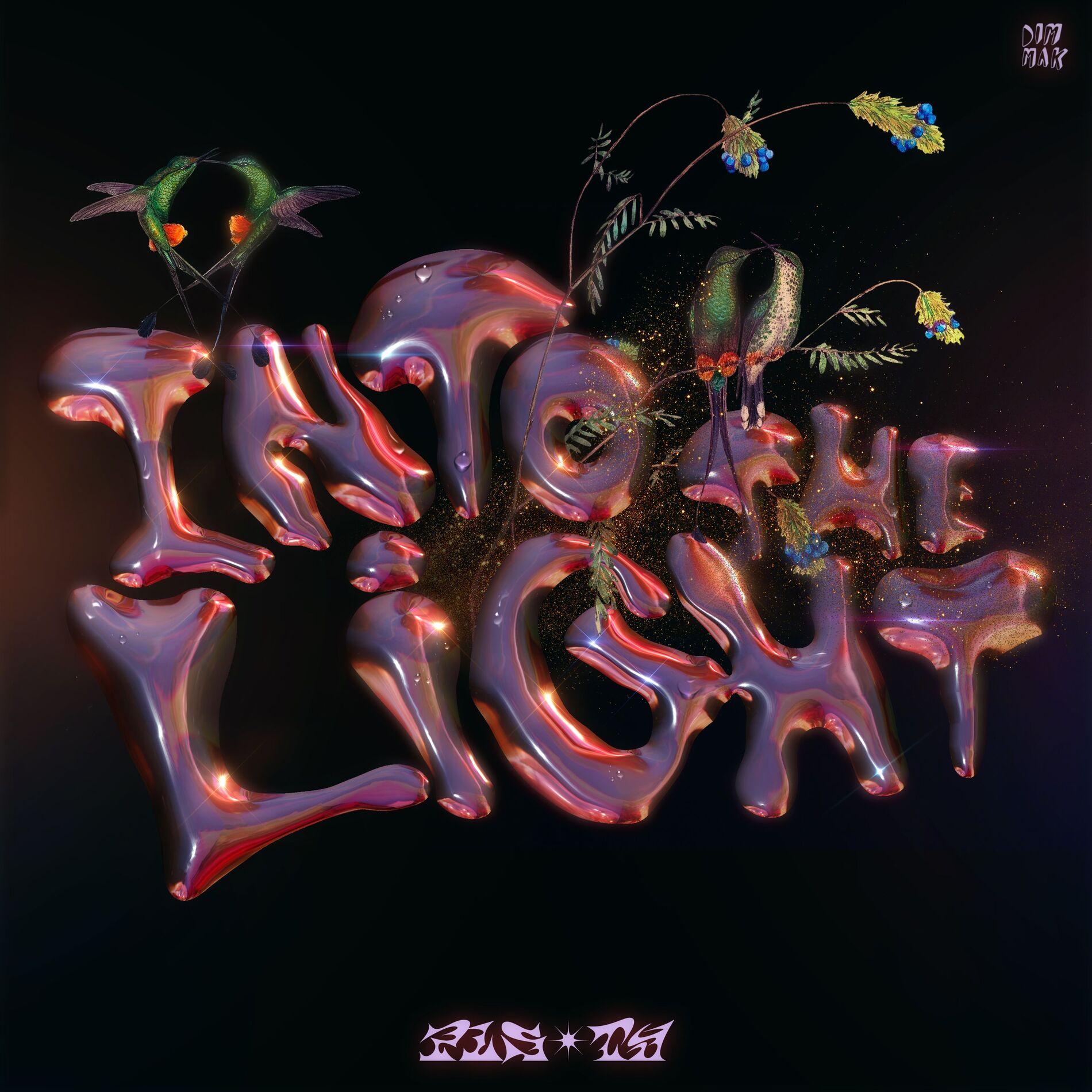 Album cover of Into The Light
