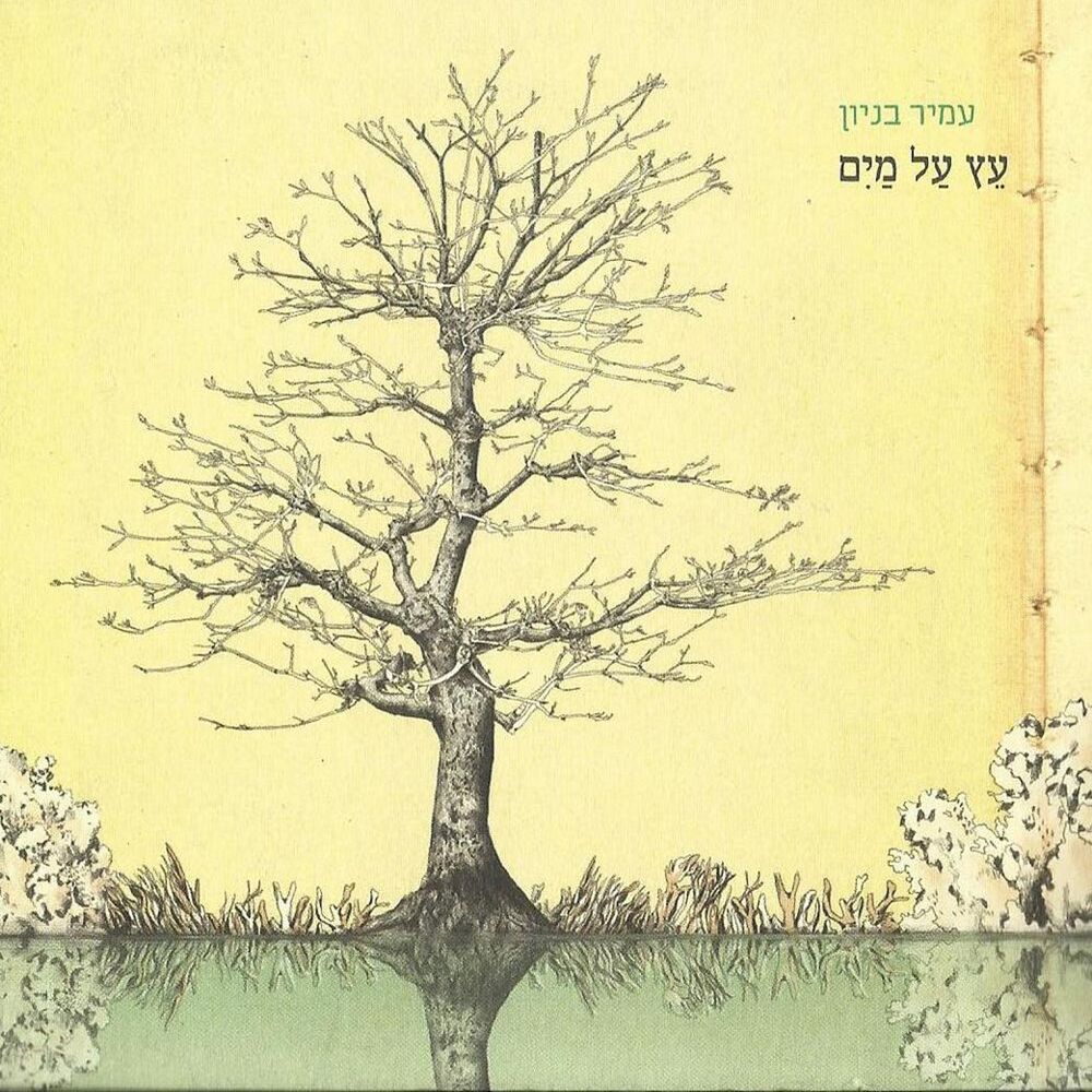 Picture of עץ על מים