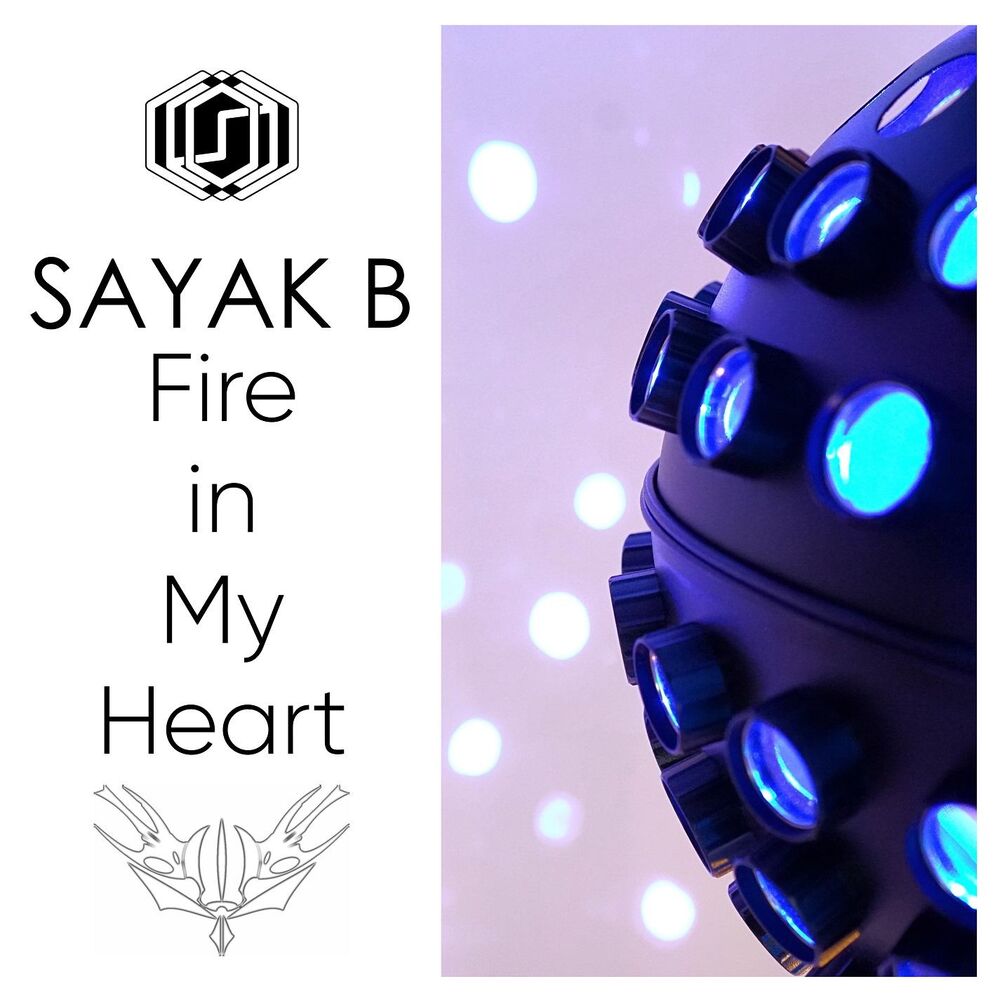Picture of Fire in My Heart