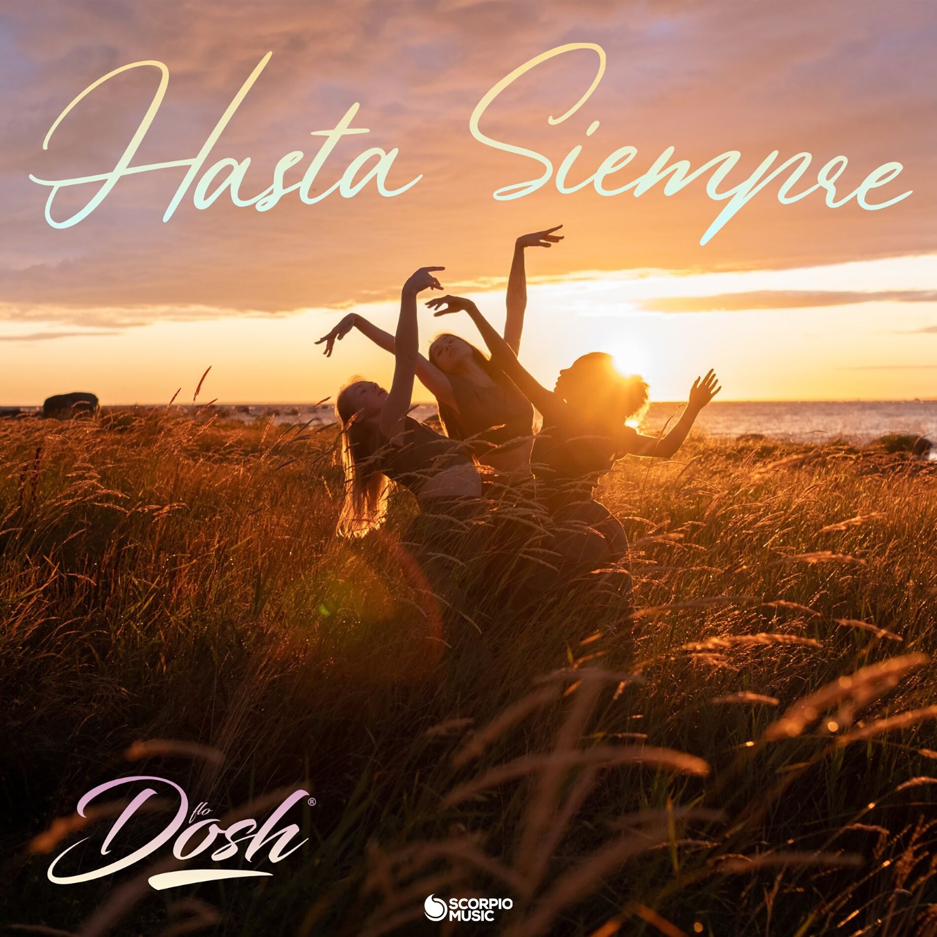 Album cover of Hasta Siempre