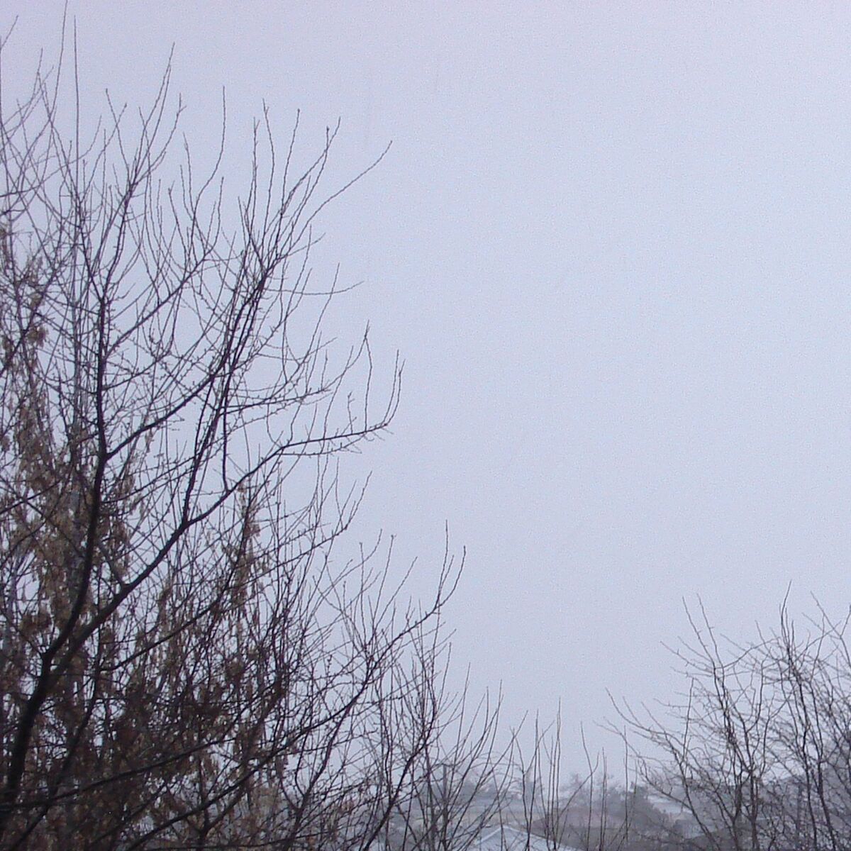Album cover of Involuntary Memory
