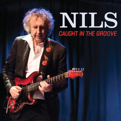 Cover of Caught in the Groove