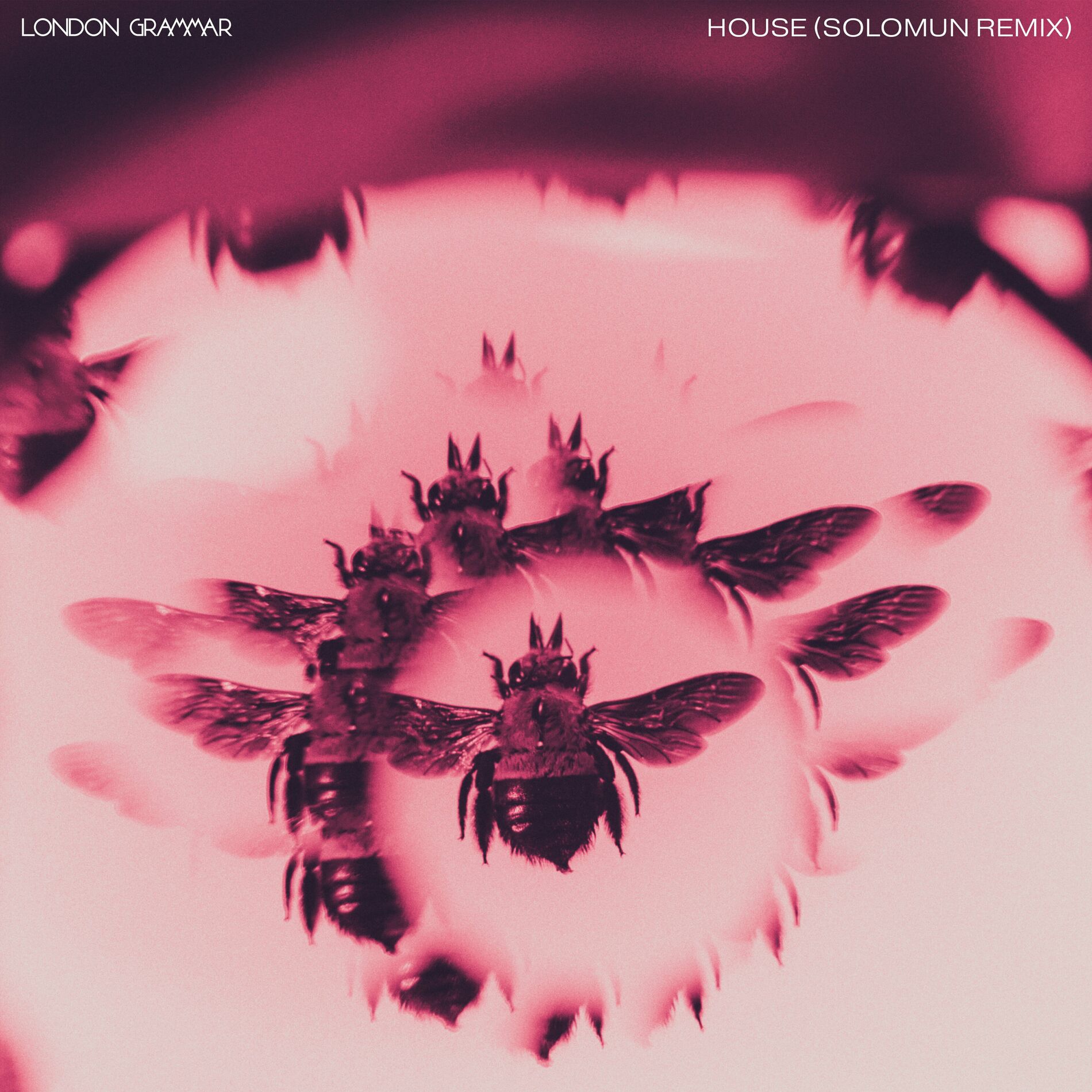 Album cover of House (Solomun Remix)