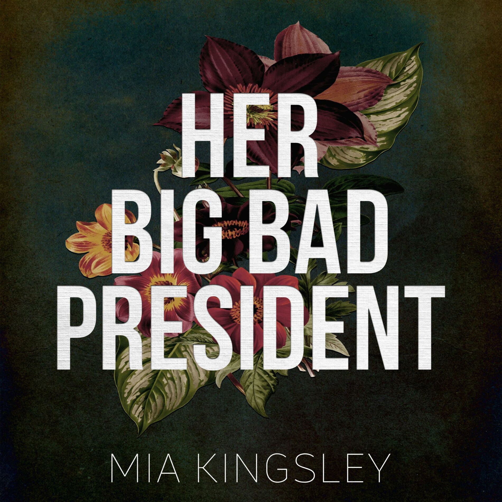 Album cover of Her Big Bad President