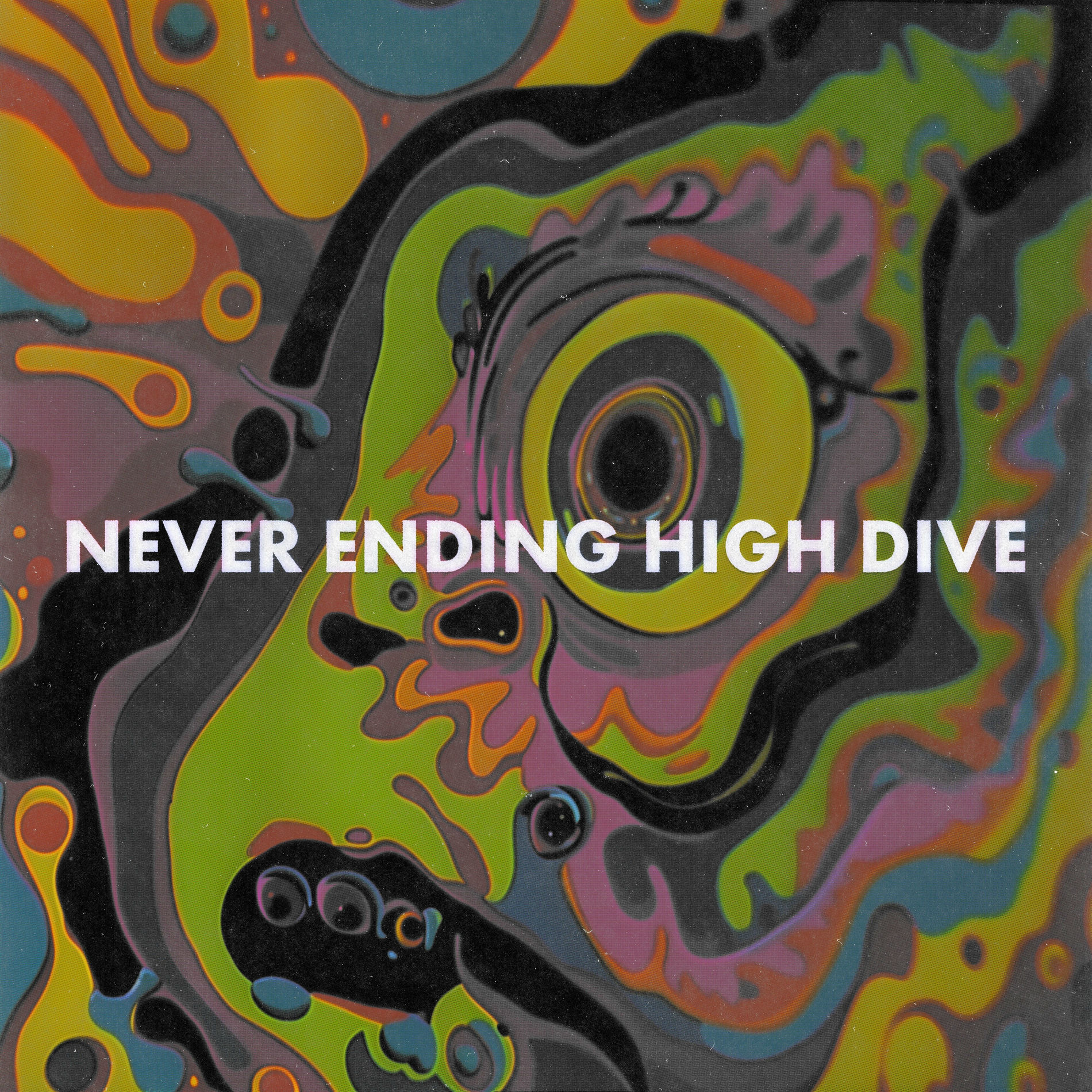 Album cover of Never Ending High Dive