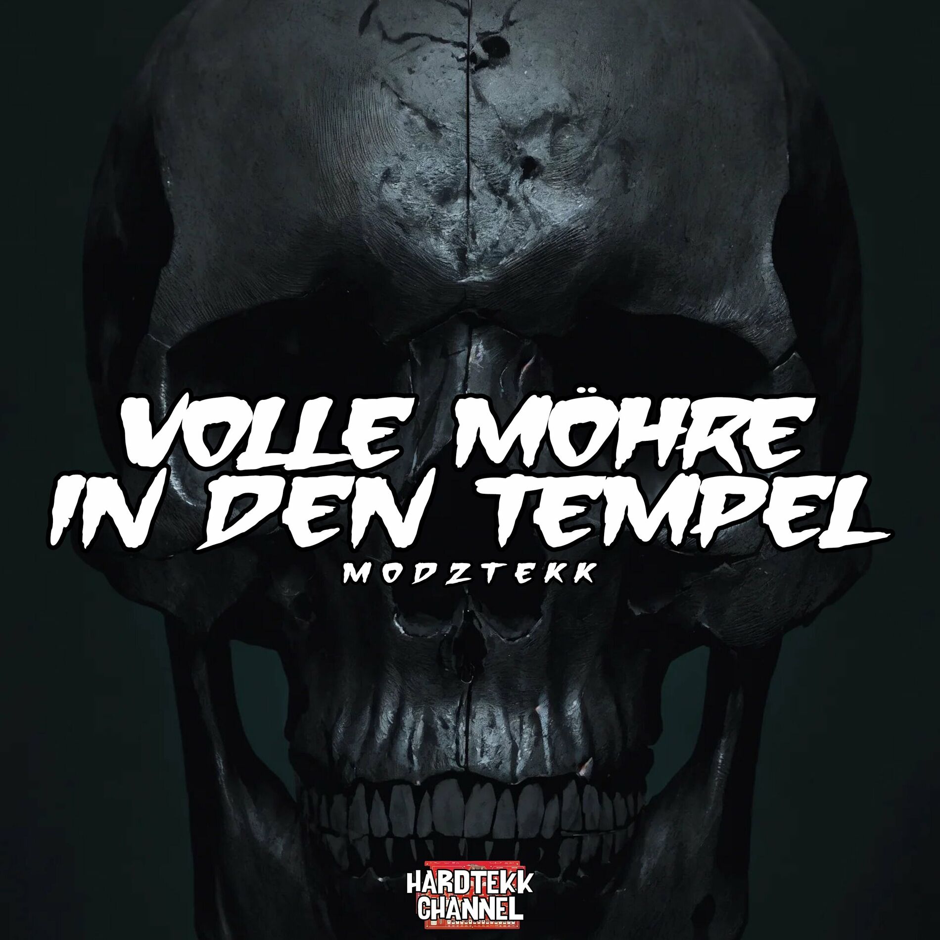 Album cover of Volle Möhre in Den Tempel