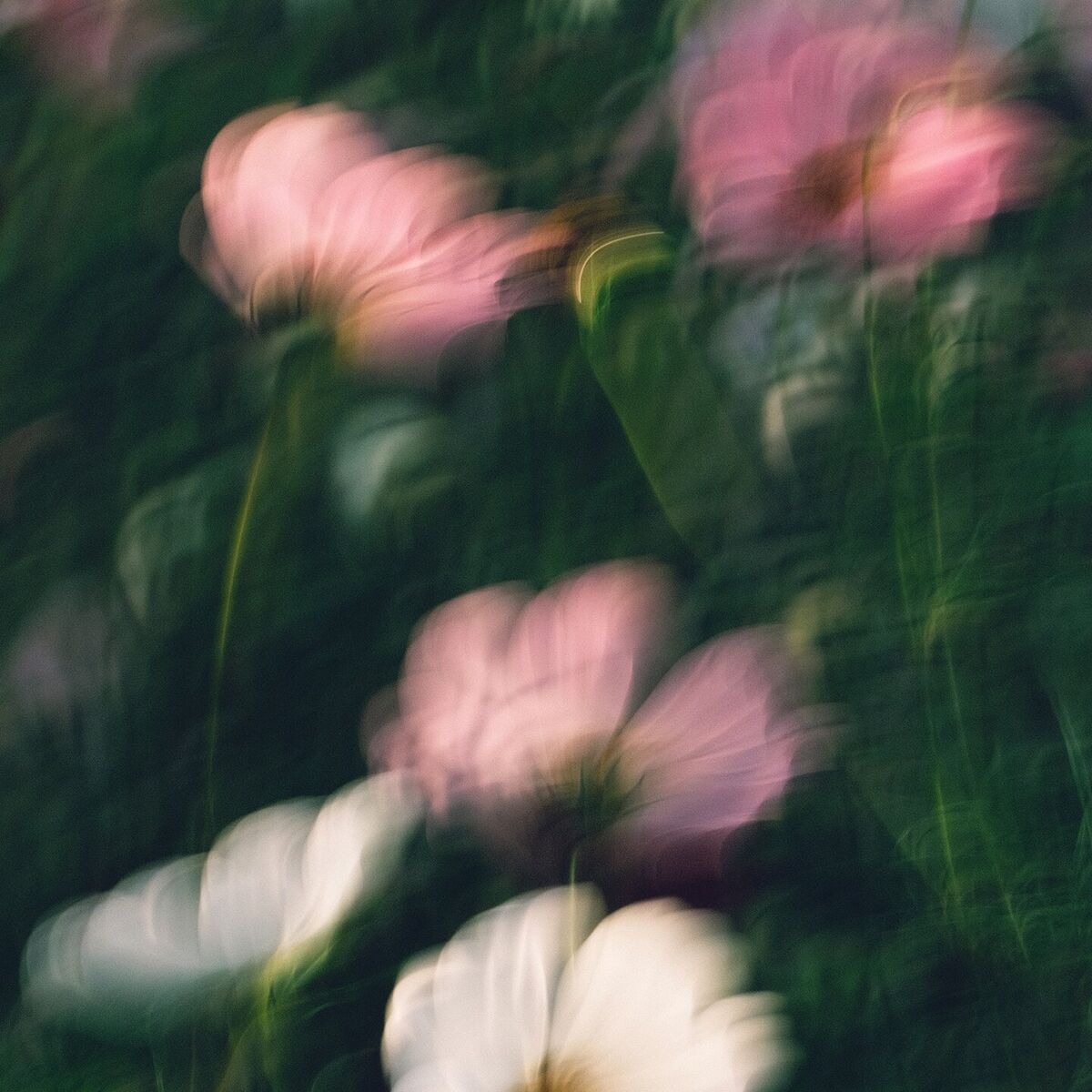 Album cover of Long Ago