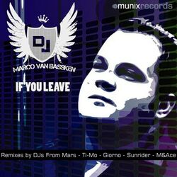 Cover of If You Leave