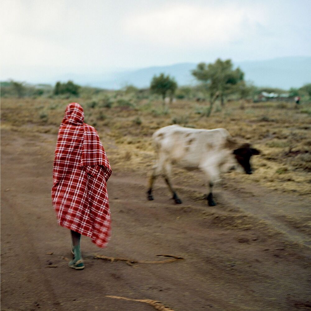Picture of In East Africa