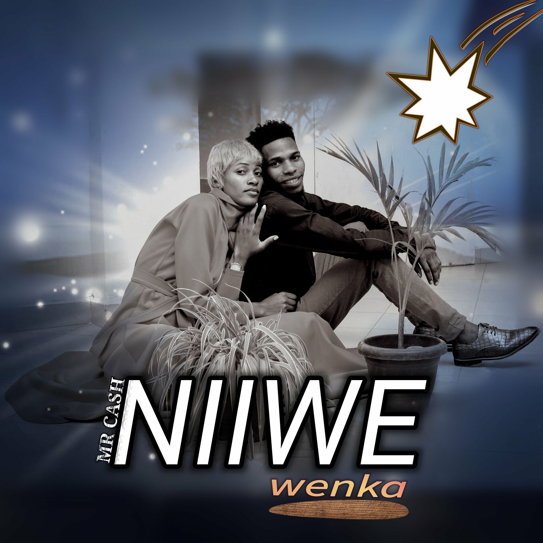 Album cover of Niiwe Wenka