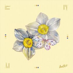 Cover of Running