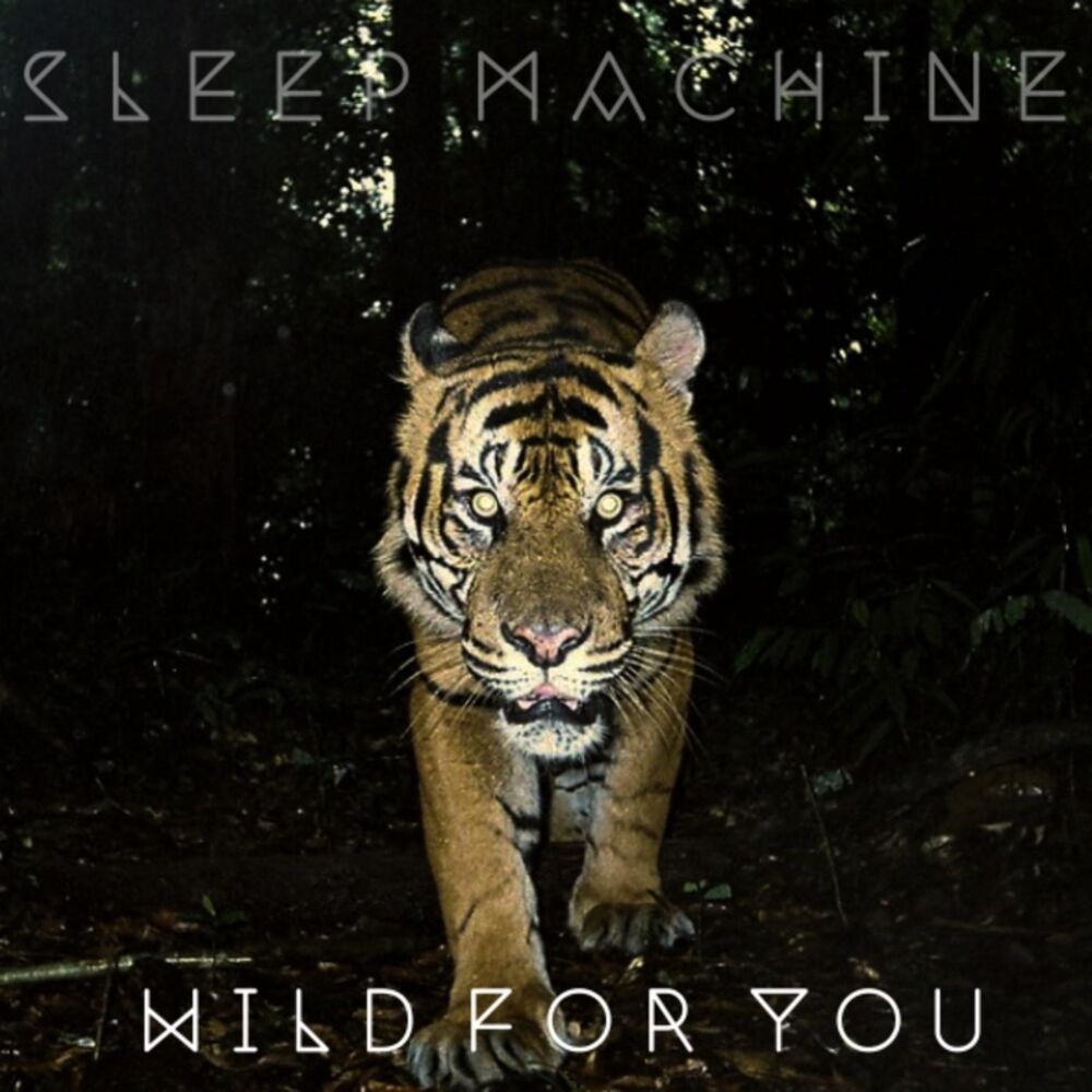 Picture of Wild for You