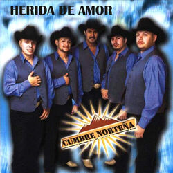 Cover of Herida de Amor
