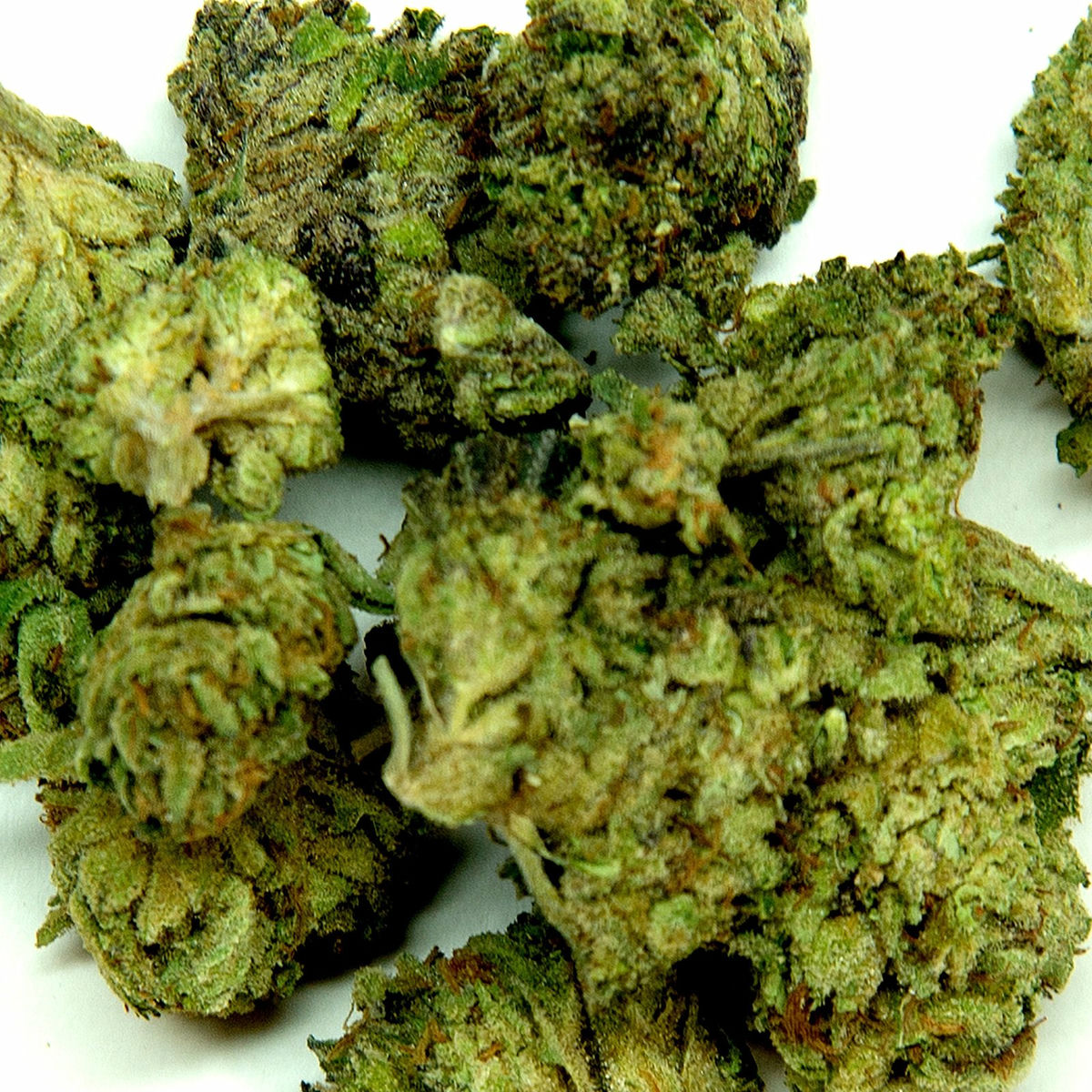 Album cover of Crazy Kush